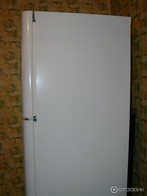 Холодильник Indesit TIA 180 фото