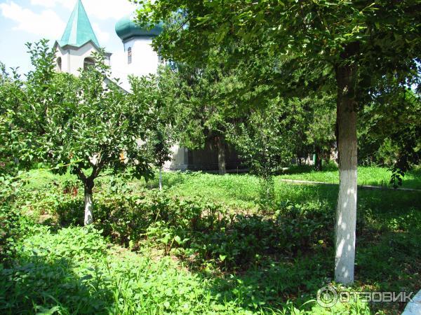 Свято-Вознесенский Ново-Нямецкий (Кицканский) монастырь (Молдавия, Кицканы) фото