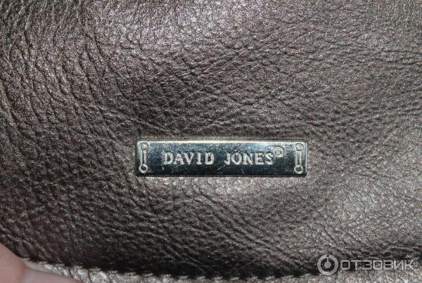   David Jones 