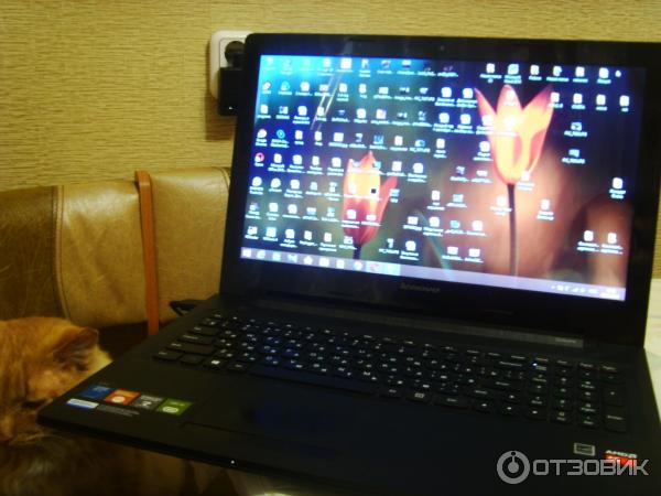 Ноутбук Lenovo G50-45 (80e3006rrk) Отзывы