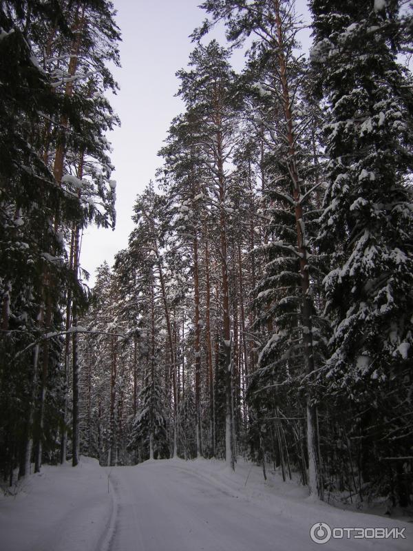 Ново-Валаамский Спасо-Преображенский мужской монастырь (Финляндия, Хейнявеси) фото
