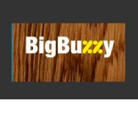 Отзыв о Bigbuzzy.ru - скидки на услуги от 50-90%