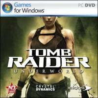 Не запускается Tomb Raider (2013), тормозит, лагает и вылетает на рабочий стол — помощь