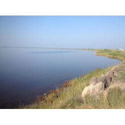 Озеро Яровое Алтайский Край Фото 2022