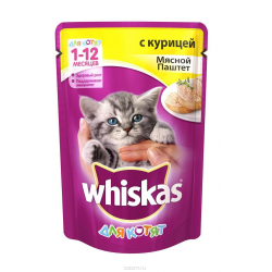 Кошка не ест сухой корм: причины отказа и что делать - Purina One®