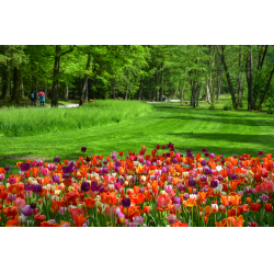 Отзыв о Ботанический сад Arboretum (Словения, Волчий Поток)