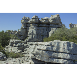 Отзыв о Горы Юрского периода "Torcal de la Sierra Utrera" (Испания, Андалусия)