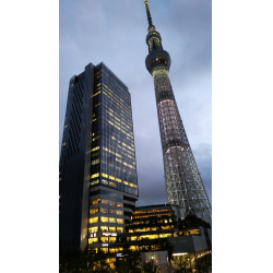 Отзыв о Экскурсия на телебашню Tokyo Sky Tree (Япония, Токио)