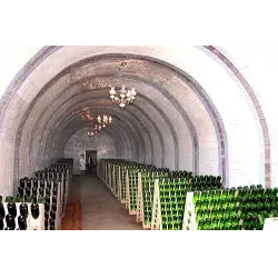 Отзыв о Экскурсия на завод шампанских вин Л.С. Голицына "Новый Свет" (Крым)