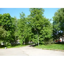Отзыв о Сквер "Тебриз" (Россия, Казань)