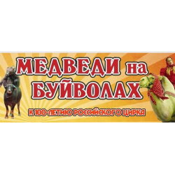 Отзыв о Цирковое шоу "Медведи на буйволах" (Россия, Волгоград)