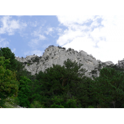 Отзыв о Экскурсия на гору Алупка-Исар (Крым)