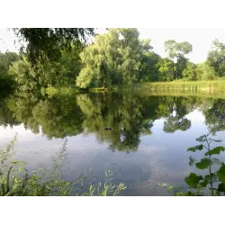 Отзыв о Ботанический сад (Россия, Самара)