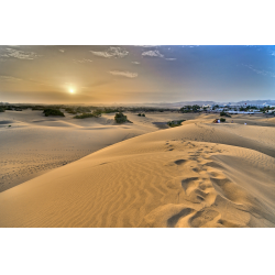 Отзыв о Национальный заповедник Dunas de Maspalomas (Испания, Гран Канария)