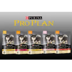 Отзыв о Влажный корм для собак Pro Plan