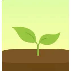 Отзыв о Forest - приложение на Android и iOS