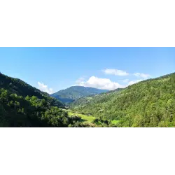 Отзыв о Ущелье Чвана (Грузия, Аджария)
