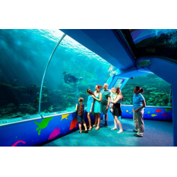 Отзыв о Аквариум Reef Headquarters Aquarium (Австралия, Таунсвилл)