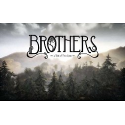 Отзыв о Brothers: A Tale of Two Sons - игра для PC