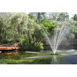 Отзыв о Ботанический сад Hervey Bay Botanic Gardens (Австралия, Харви-Бей)