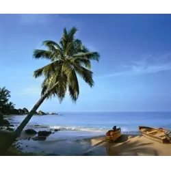 Отзыв о Отдых на о. Хайнань (Китай)