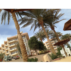 Отзыв о Отель Marriott Beach Resort Hurghada 5* (Египет, Хургада)