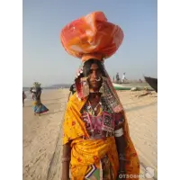 Отзыв о Отдых в Гоа (Индия)