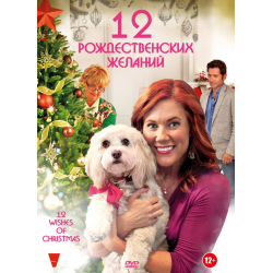 Отзыв о Фильм "12 Рождественских желаний" (2011)