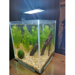 Отзыв о Аквариум Aquael Shrimp Set 20 Day & Night