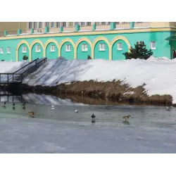 Отзыв о Санаторий "Белорусочка" (Беларусь, Ждановичи)