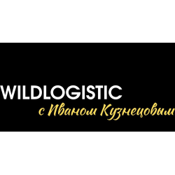 Отзыв о Доставка из Китая Wildlogistic (Россия, Китай)