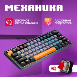 Отзыв о Клавиатура Defender Black Raven GK-417 RU