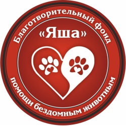 Отзыв о Благотворительный фонд "Яша" (Россия, Волгоград)