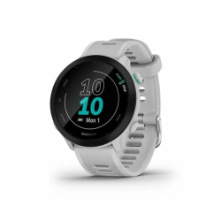 Отзыв о Спортивные часы Garmin Forerunner 55