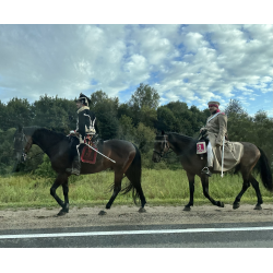 Отзыв о Конный двор Lucky Horse (Россия, Можайск)