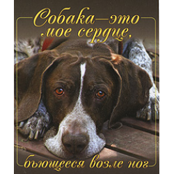 Отзыв о Книга "Собака - это мое сердце, бьющееся возле ног" - издательство Прайм-Еврознак