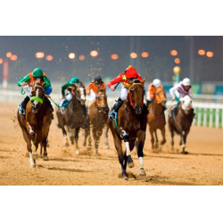 Отзыв о Конные скачки Dubai World Cup (ОАЭ, Дубай)