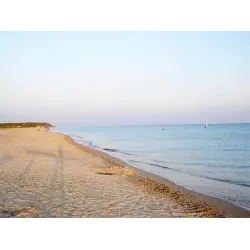 Отзыв о Дикие пляжи станицы Благовещенской (Россия, Краснодарский край)