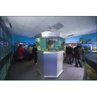 Отзыв о Океанариум "Морской аквариум на Чистых прудах" (Россия, Москва)