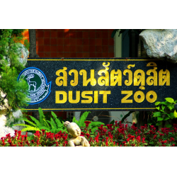 Отзыв о Зоопарк Dusit Zoo (Таиланд, Бангкок)