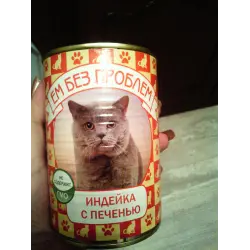 Отзыв о Корм для кошек ''Ем без проблем''