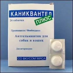 Отзыв о Антигельминтик ВЕТПРОМ Каниквантел Плюс (Caniquantel plus)