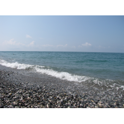 Абхазия Отдых На Море Фото