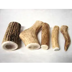 Отзыв о Лакомство для собак Doggie Delicacy "Рога северного оленя"