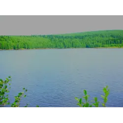 Отзыв о Отдых на Широковском водохранилище (Россия, Пермский край)