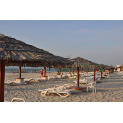Отзыв о Отель Lou'lou'a Beach Resort Sharjah (ОАЭ, Шарджа)