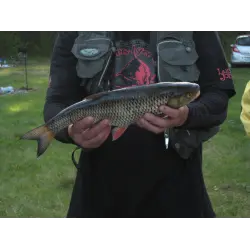 Отзыв о Рыболовный фестиваль на реке Гавья (Беларусь, Гродненская область)