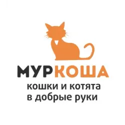 Отзыв о Приют для кошек "Муркоша" (Россия, Москва)