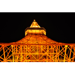 Отзыв о Токийская башня Tokyo Tower (Япония, Токио)