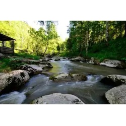 Отзыв о Пеший маршрут (терренкур) "Старая мельница" (Россия, Белокуриха)